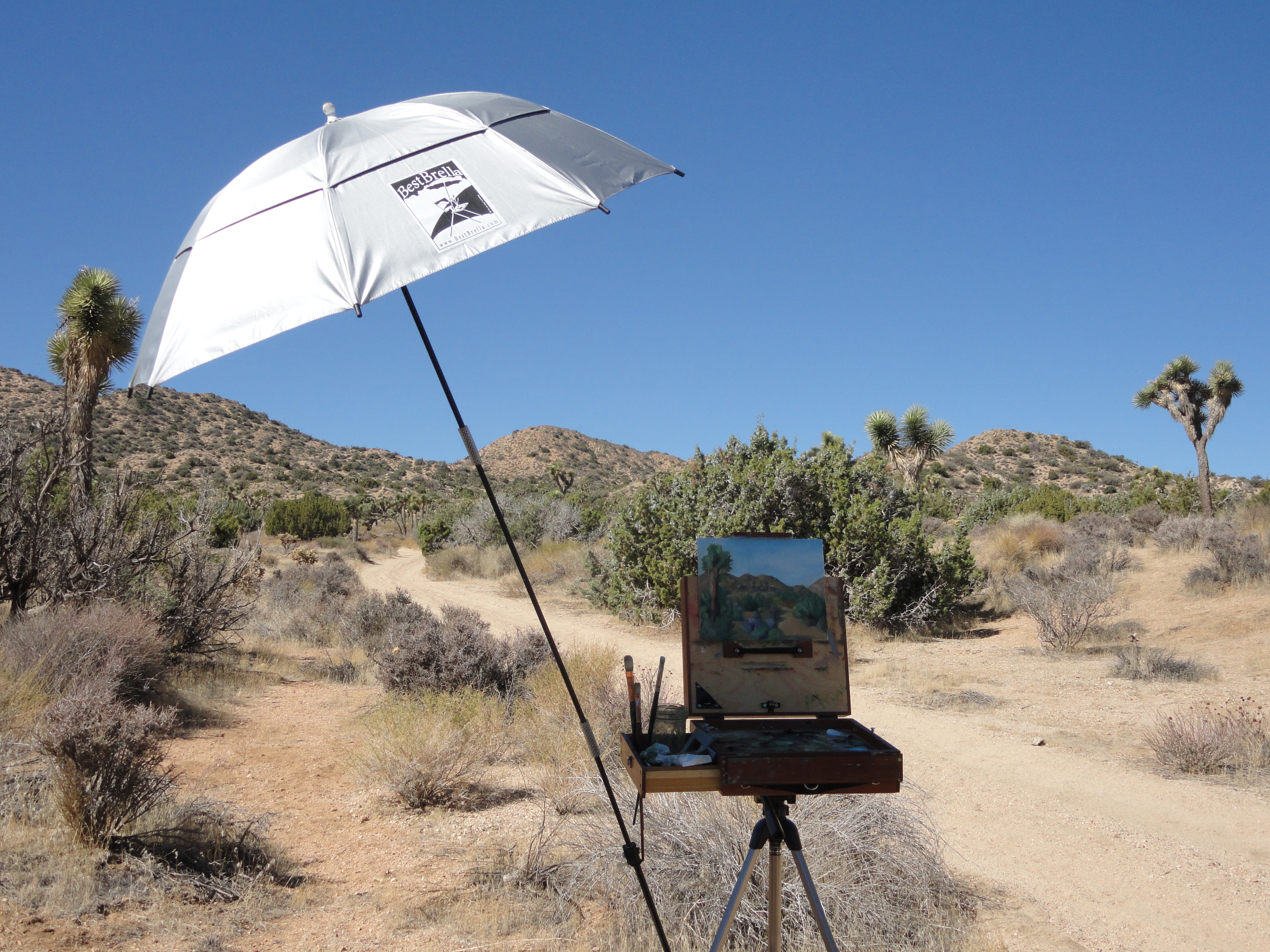 What You Will Need to Start Plein Air Painting