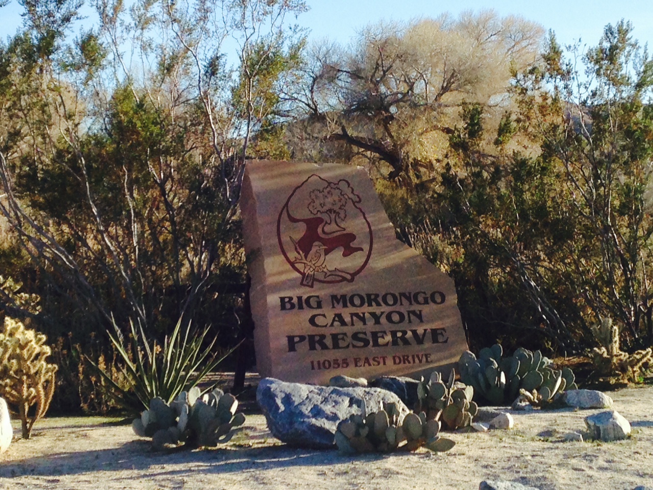 Big Morongo Canyon Preserve – A Beautiful Place to Paint