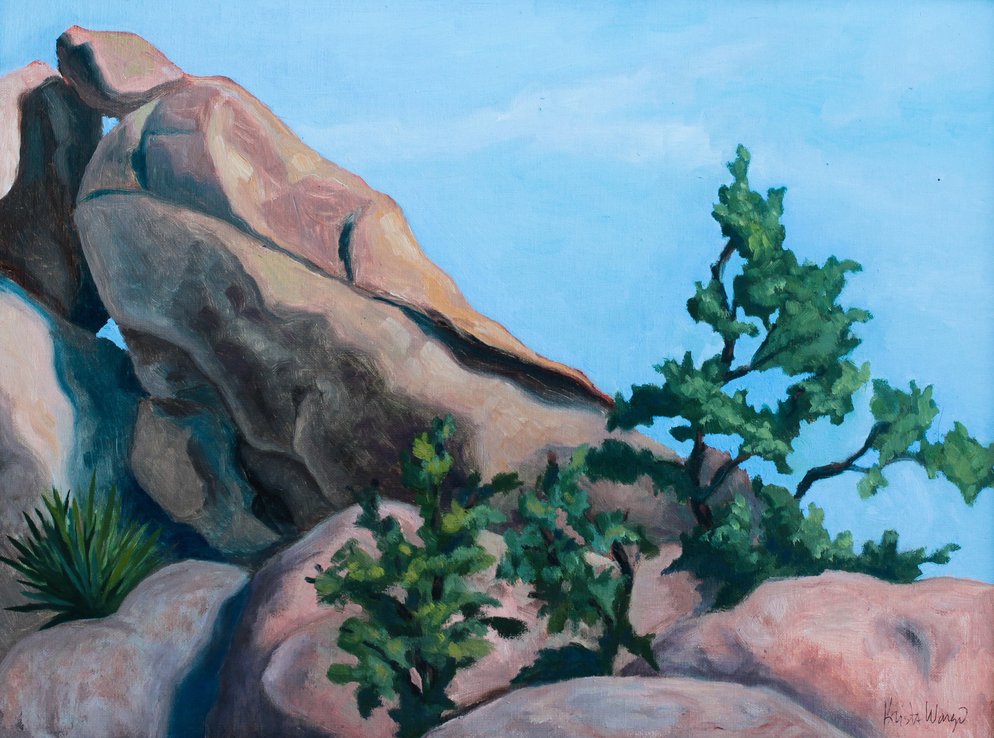 10 Best Sites for Plein Air Painting in Joshua Tree National Park